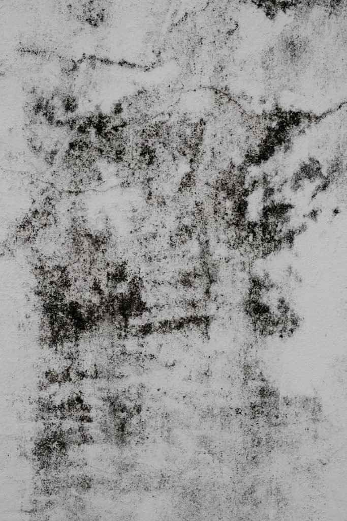 Mold or Mildew on Wall